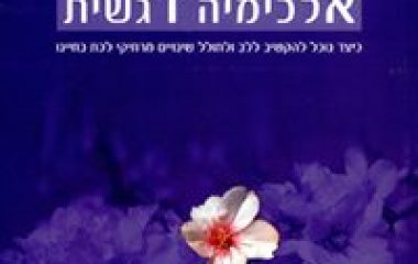 טיפול ממוקד סכמה יחד עם מיינדפולנס